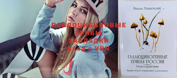 герыч Алексеевка