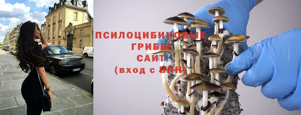 дурь Алзамай