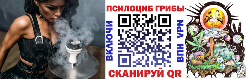 Галлюциногенные грибы Psilocybe  Баксан 