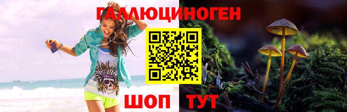 Галлюциногенные грибы ЛСД Баксан