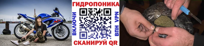 Конопля ГИДРОПОН  Баксан 