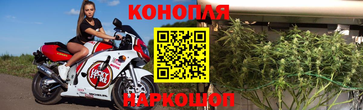 Конопля OG Kush  Марихуана LSD WEED  Бошки марихуана семена  Каннабис план  Баксан  Вход с VPN 